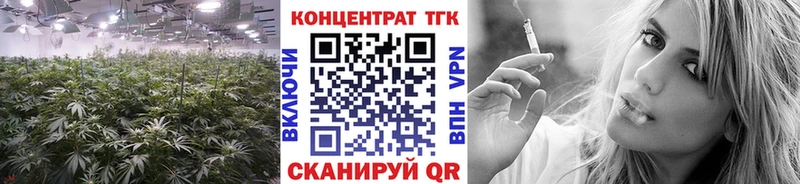 купить закладку  Змеиногорск  ТГК жижа 