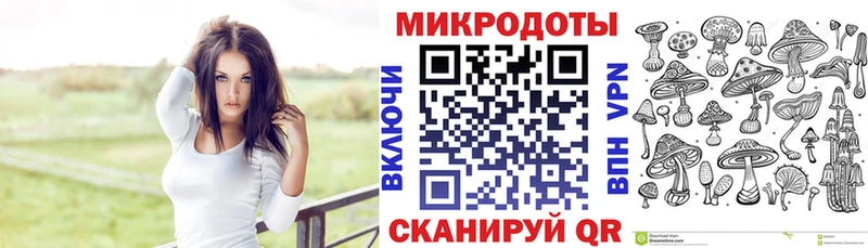 купить   Змеиногорск  Галлюциногенные грибы Magic Shrooms 